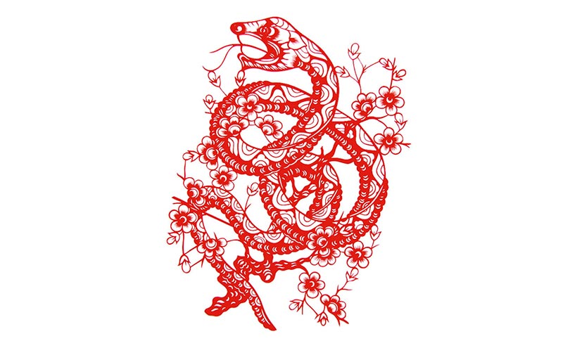 La serpiente del horóscopo chino | Significado del horóscopo chino