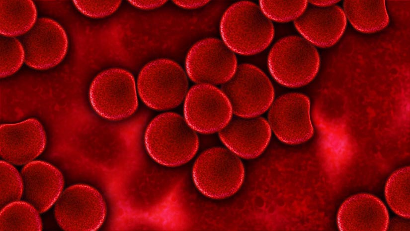 Número de glóbulos rojos en el cuerpo humano.