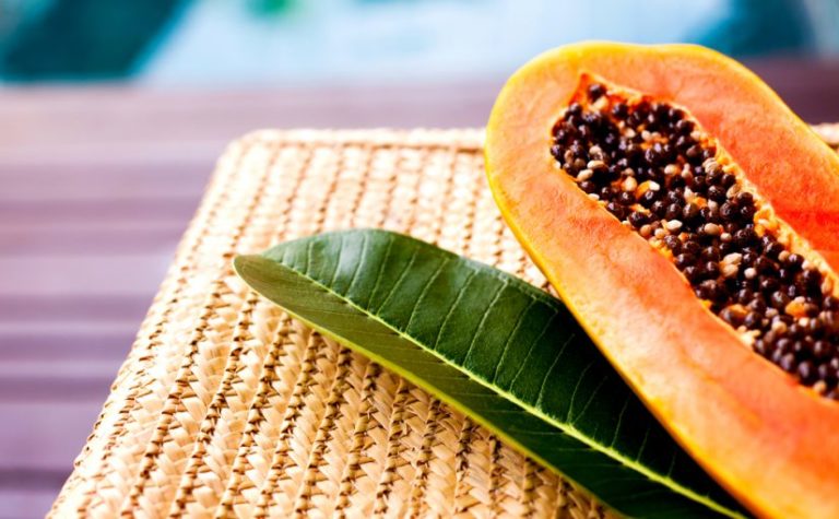 Cuantas Calorias Tiene Una Tajada De Melon