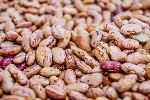 ¿Cuántas calorías tienen los frijoles? | Cantidad de Kcal de los frijoles