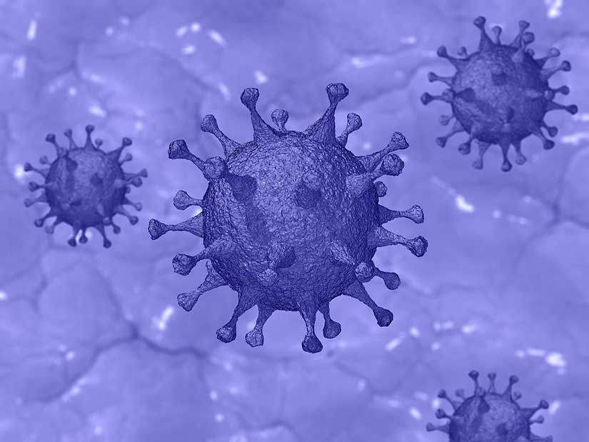 Cuántas muertes ha causado el coronavirus