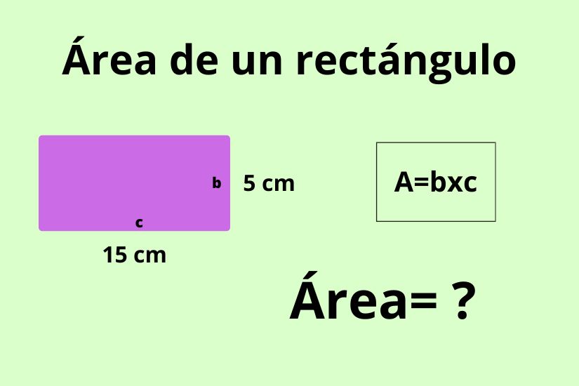 calculo area rectangulo